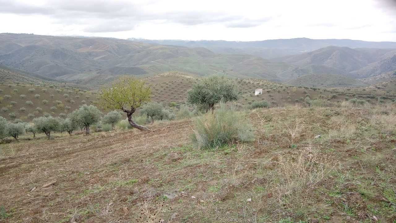 Terreno 15000m2 (1,5h)