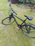 Rower Pegasus Solero SL