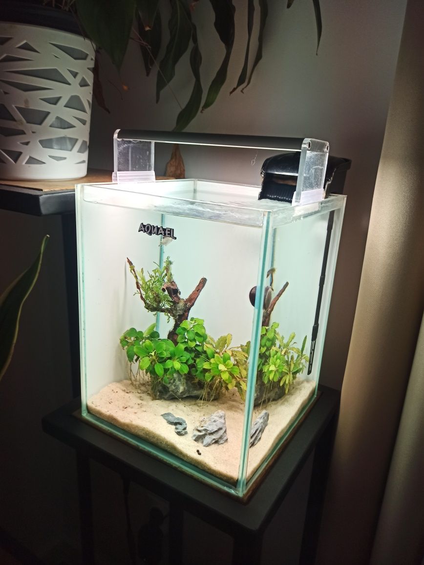 Akwarium Aquael shrimp set 10 litrów