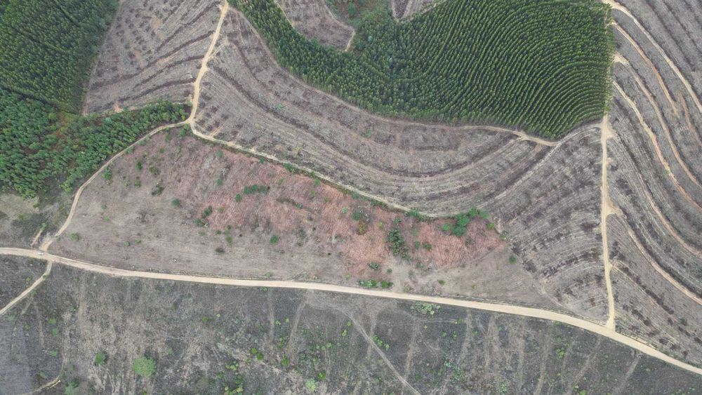 Oportunidade! Terreno Legalizado com Potencial de Construção – Arganil