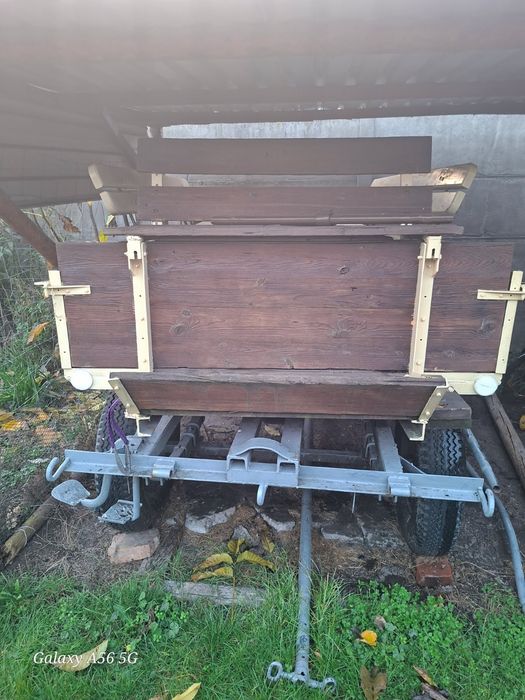 Klacz 5letnia i wóz