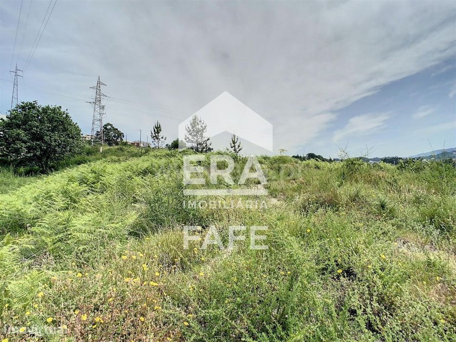 Terreno com 16.950 m2 em Fafe