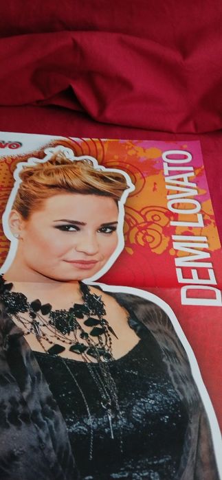 Poster Demi Lovato/The Wanted