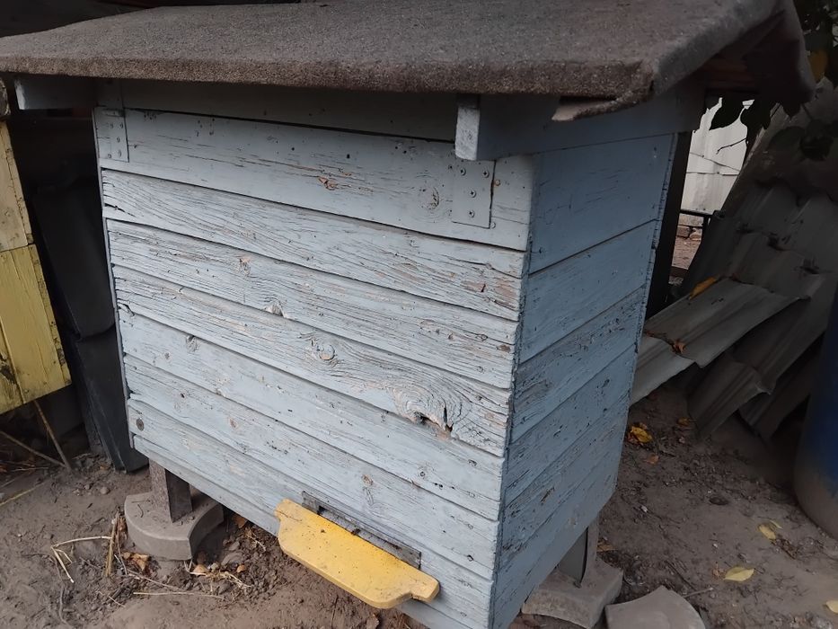 Ule warszawskie poszerzane