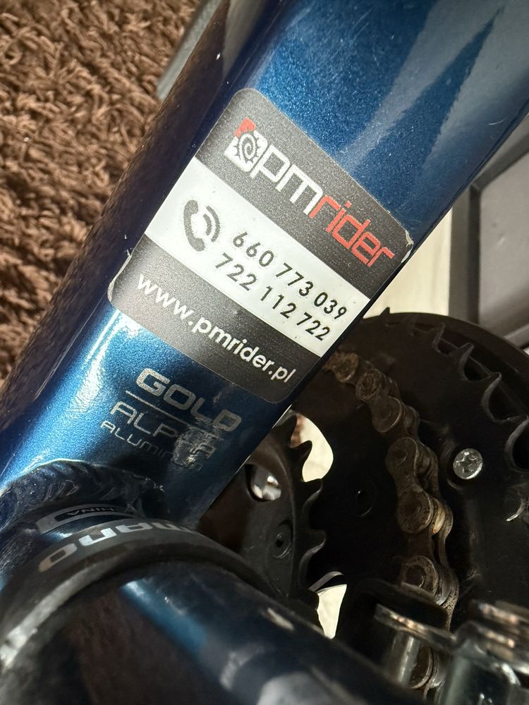 Trek Dual Sport 2 2021 L 20”
