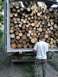 Купить дрова метровки
