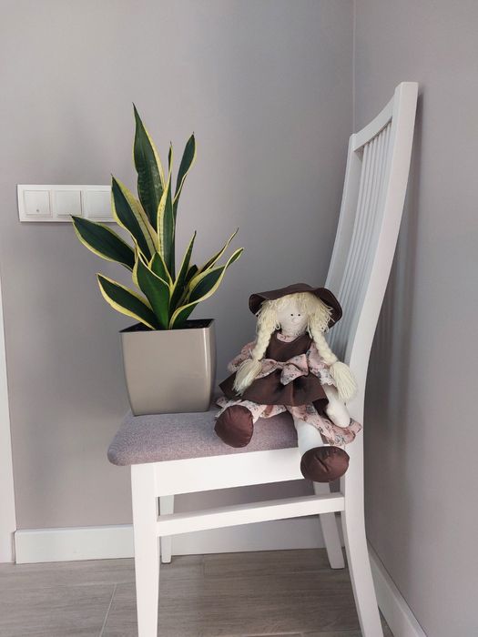 Сансієверія Futura Superba, щучий хвіст