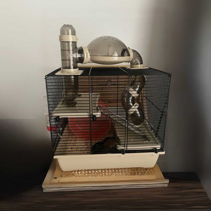 KLATKA dla chomika gryzonia DOMEK kołowrotek tunele platforma MISECZKA