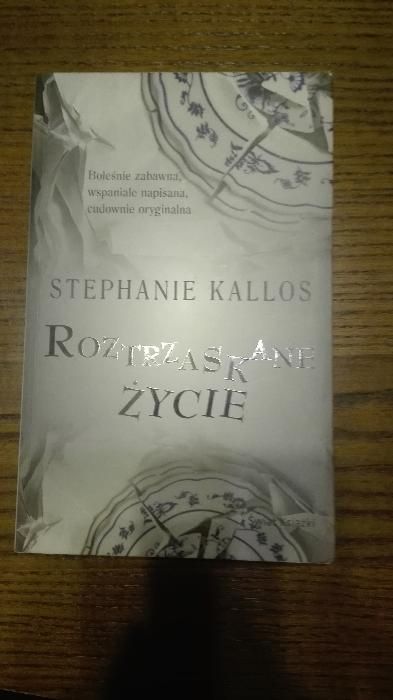 Roztrzaskane życie - Stephanie Kallos