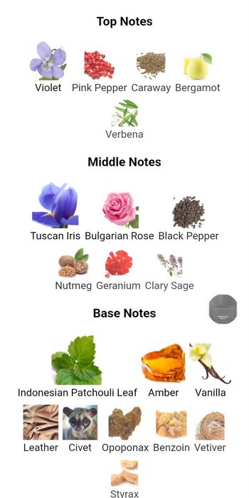 Divain 304 (Tom Ford Noir)