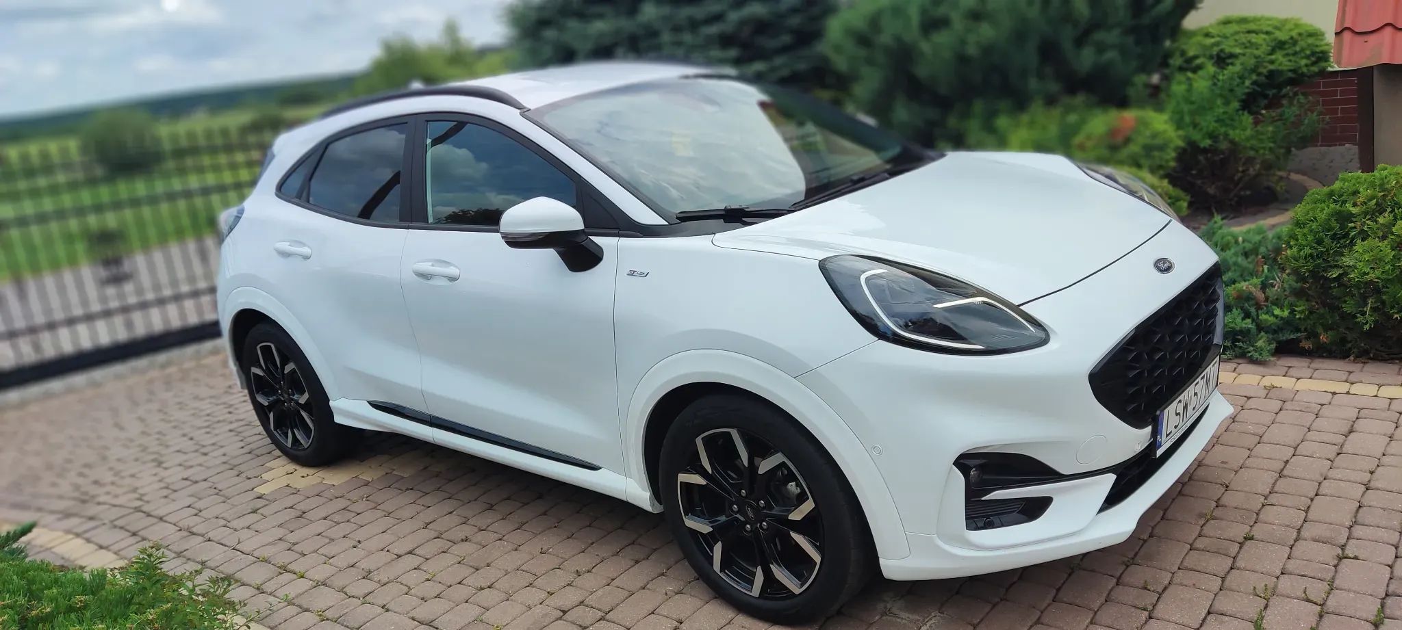 Ford Puma Puma STline X 155KM automat