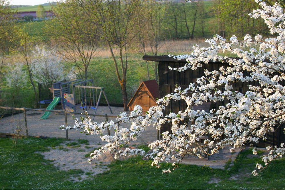 Domek letniskowy na Mazurach | Noclegi | Basen | Sauna | Jacuzzi |