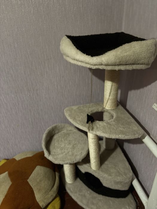 Кутова кігтеточка