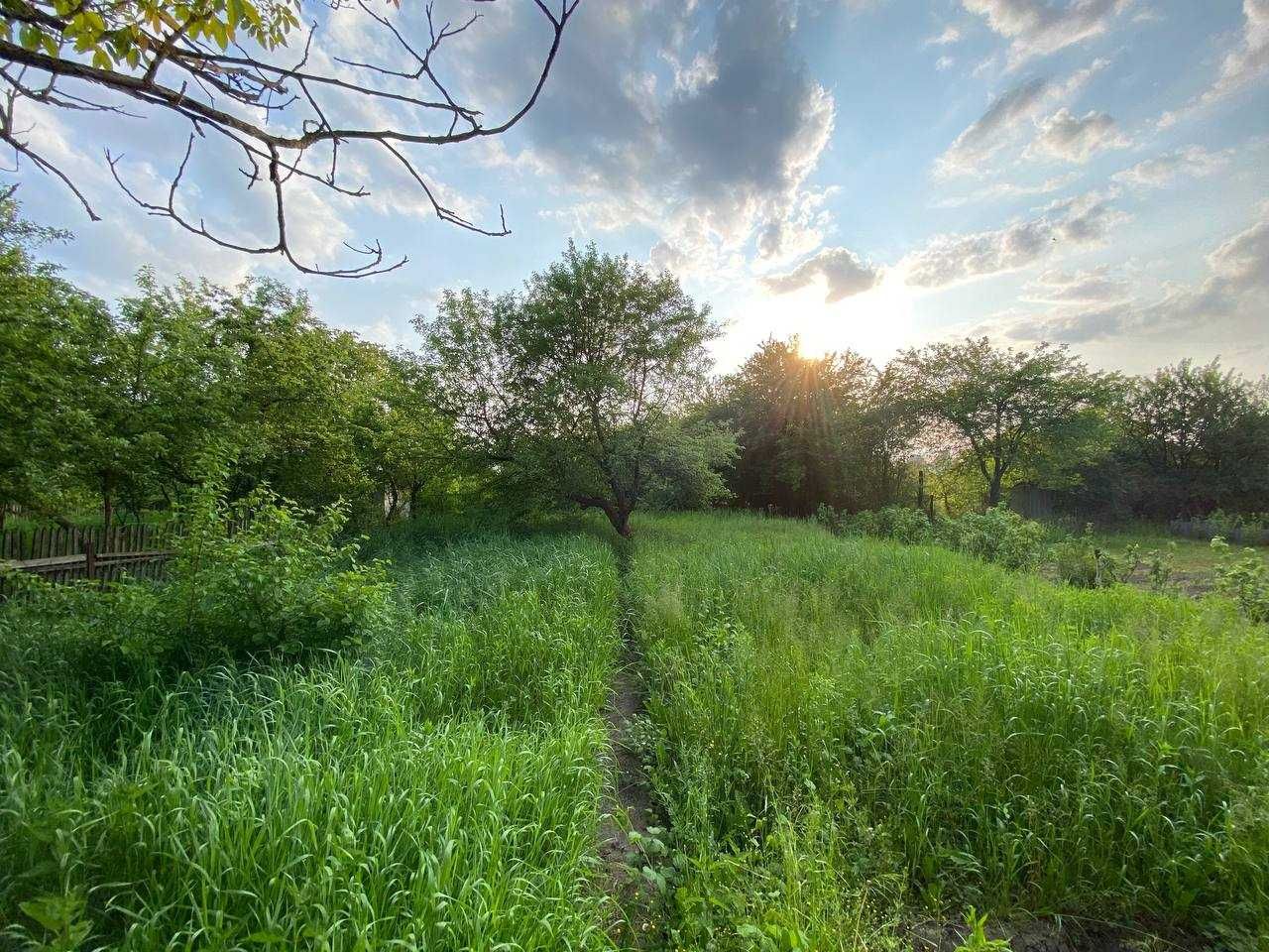 Продам дачу в Клузеві