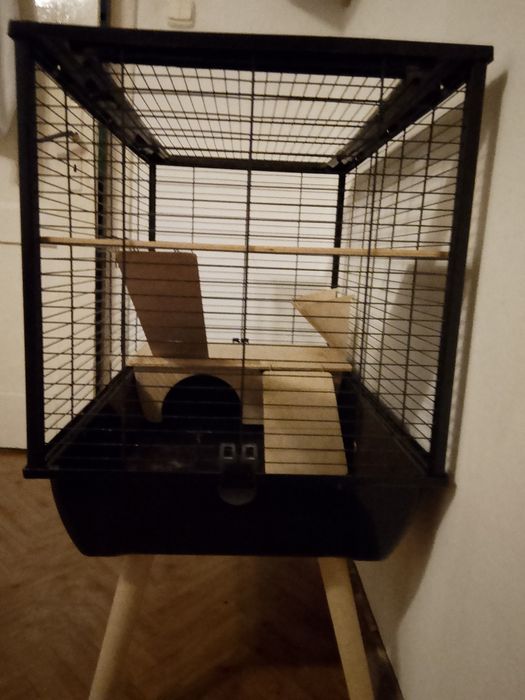 Klatka dla szynszyli