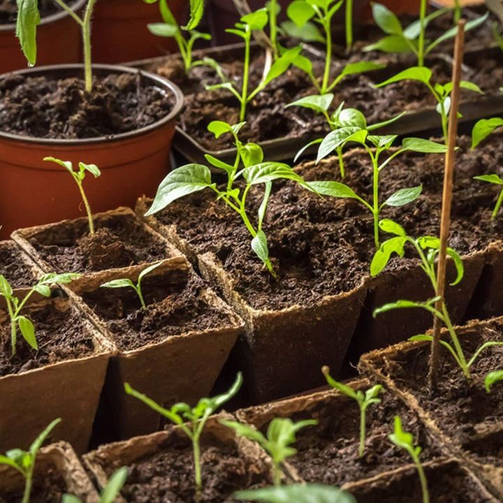 Doniczki Torfowe Wielodoniczki Biodegradowalne Sadzonki Rozsady 4xtack