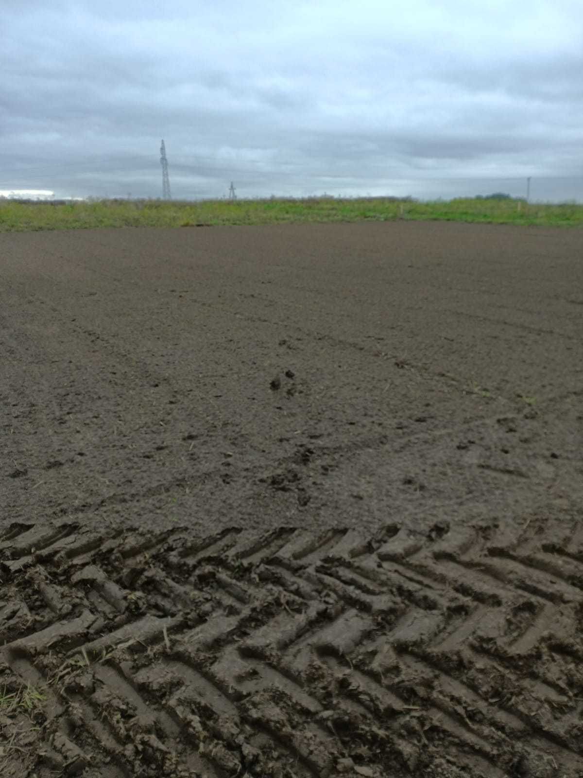 Uslugi glebogryzarką, kosiarką bijakową - mulczerem, rębakiem