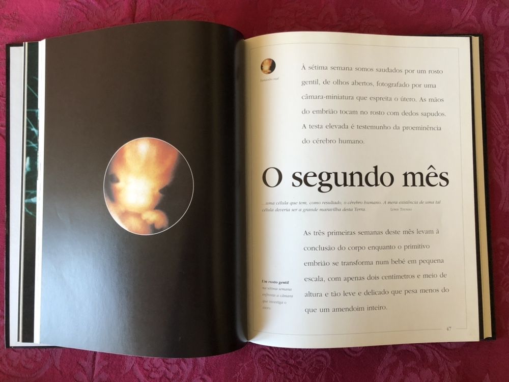 Livro: “O Princípio da Vida”