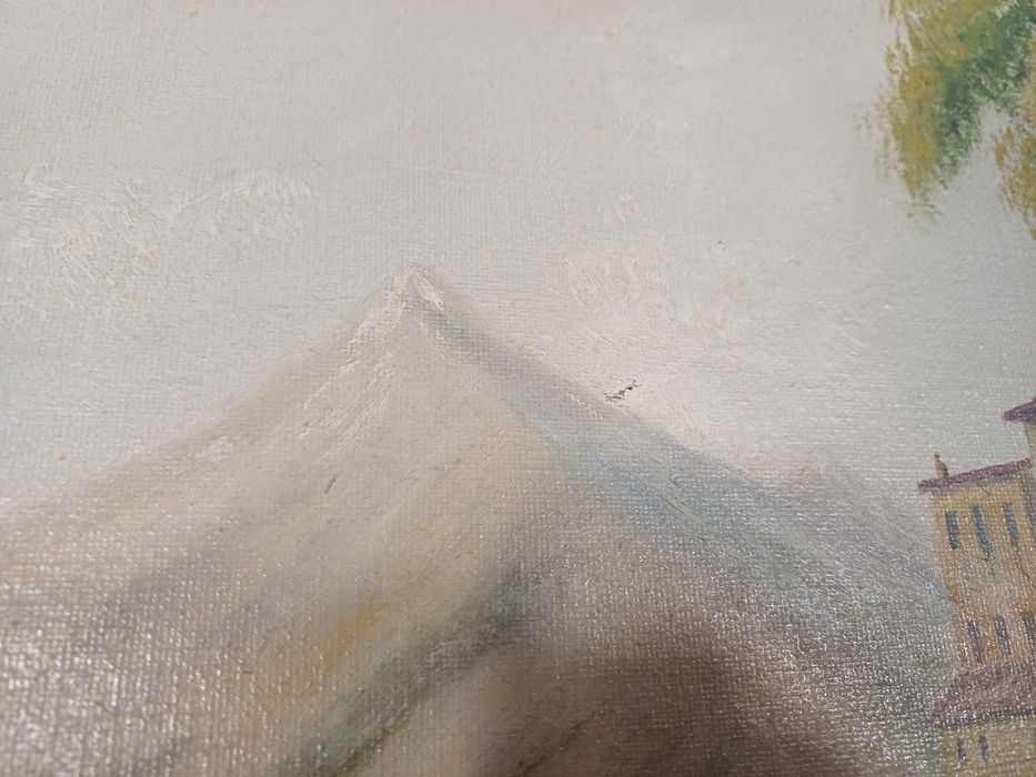 Stary obraz na płótnie sygnowany