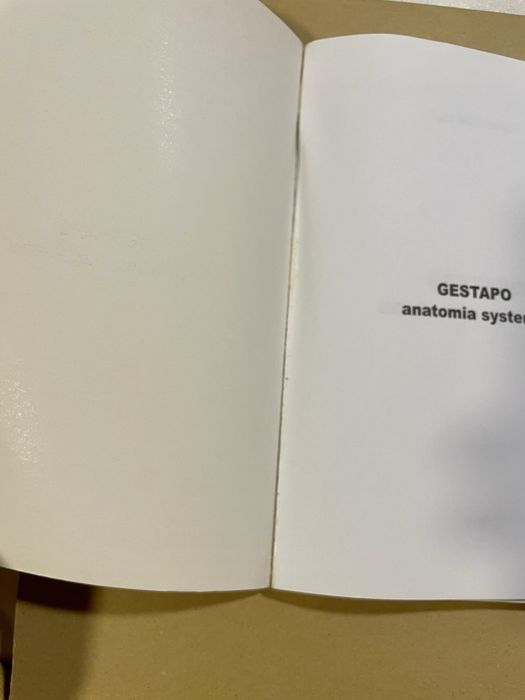 Gestapo anatomia systemu - Igor Witkowski