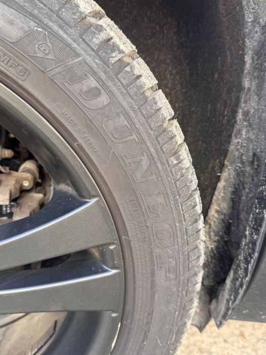 225.55.18 зима danlop