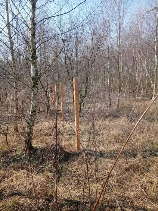 Ogrodzenia z sitaki leśnej, ogrodzenia tymczasowe, siatka leśna.