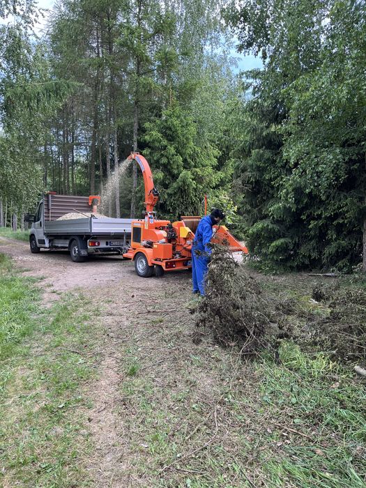 Usługi Ogrodnicze. Aeracja, Wycinka drzew, Odkomarzanie ogrodu