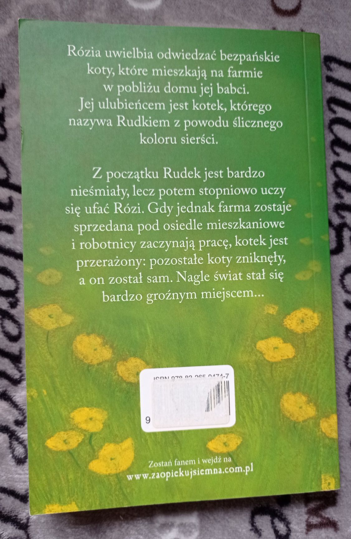 Zaopiekuj się mną Holly Webb - Gdzie jest Rudek? - kotek