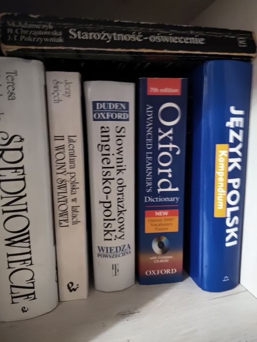 Pomoc w nauce j. polskiego i angielskiego