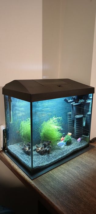 Akwarium Aquael zestaw