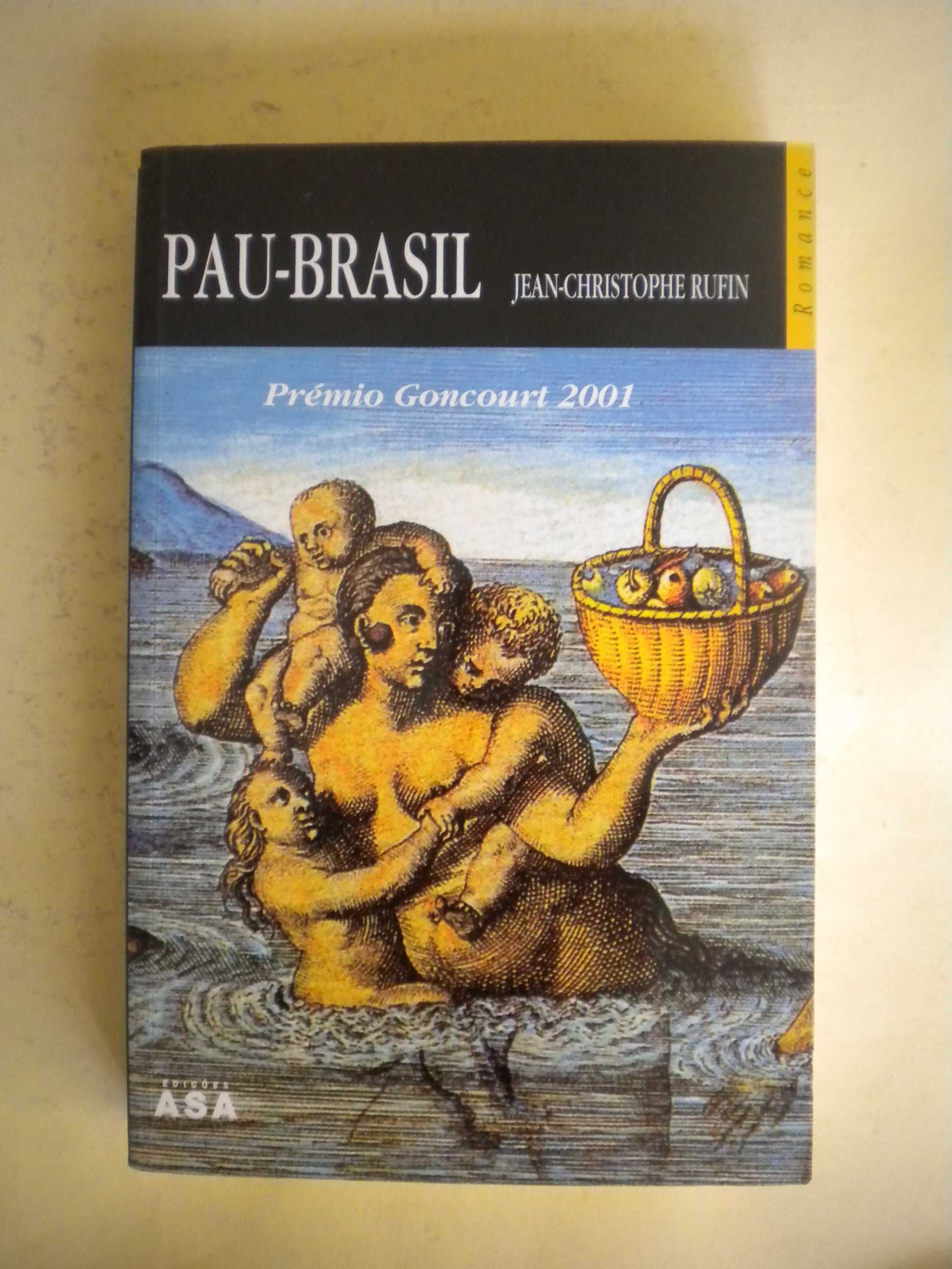 Pau-Brasil
de Jean-Christophe Rufin