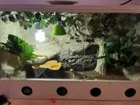 Sprzedam terrarium