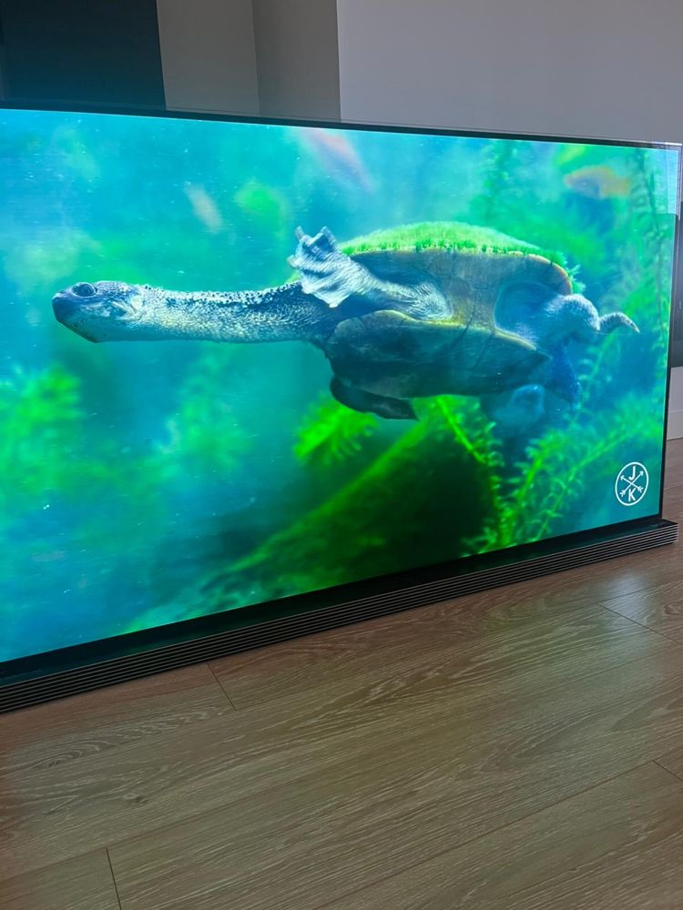 LG OLED 4K 65 polegadas