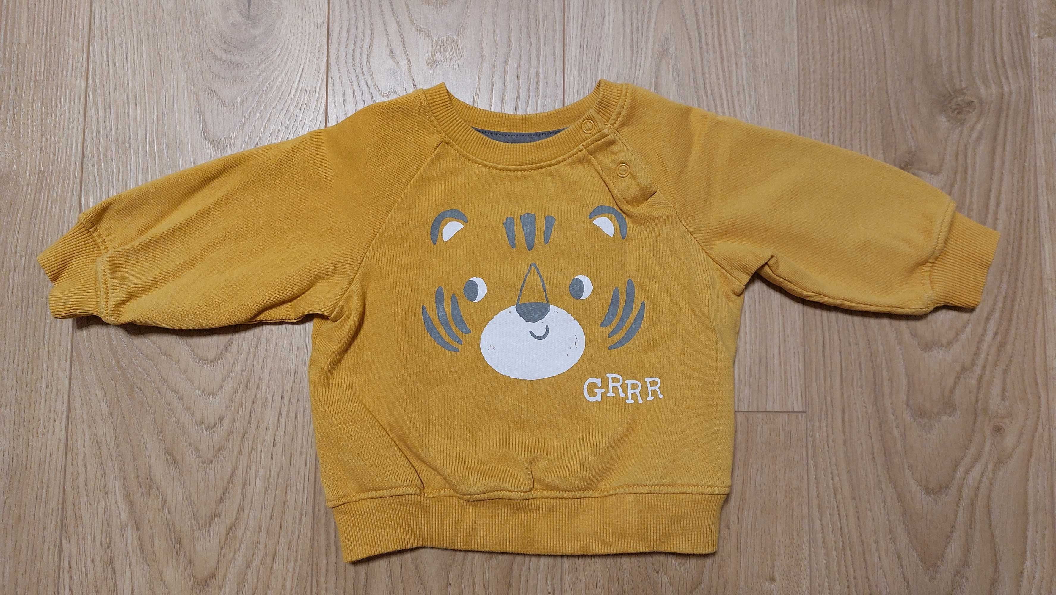 Bluza z tygrysem dla chłopca_Tex_ rozm. 68/74