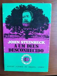 Livro A um Deus Desconhecido - John Steinbeck