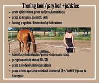 Trening koni, behawiorysta koni, trening par,