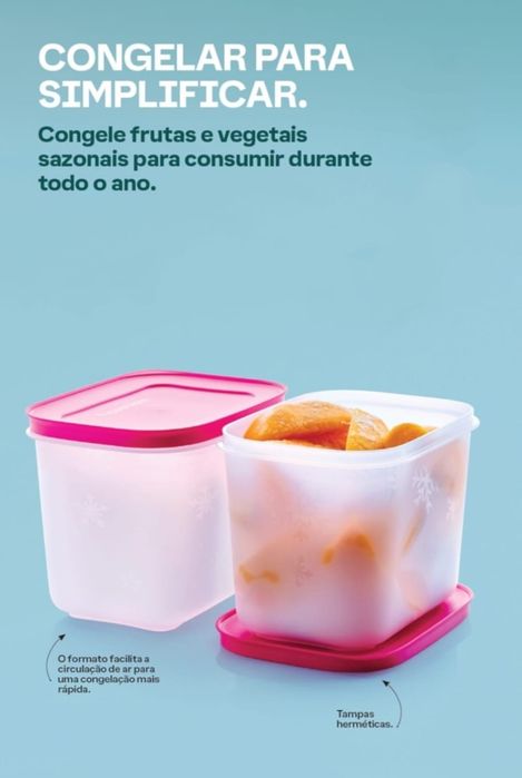 Congeladoras Tupperware 1,1 L  e outras promoções imperdíveis