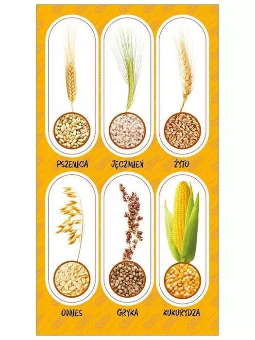 Naklejki Zboża. Ranok-Creative