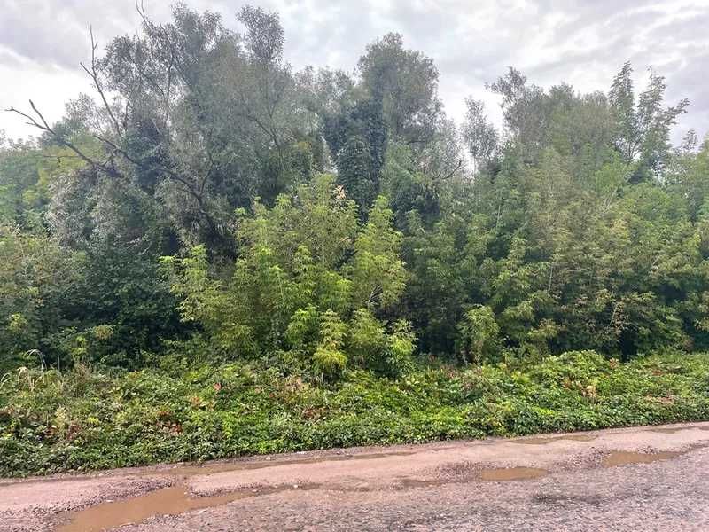 Земельна ділянка (0,2400га) - м. Броди Львівська обл.