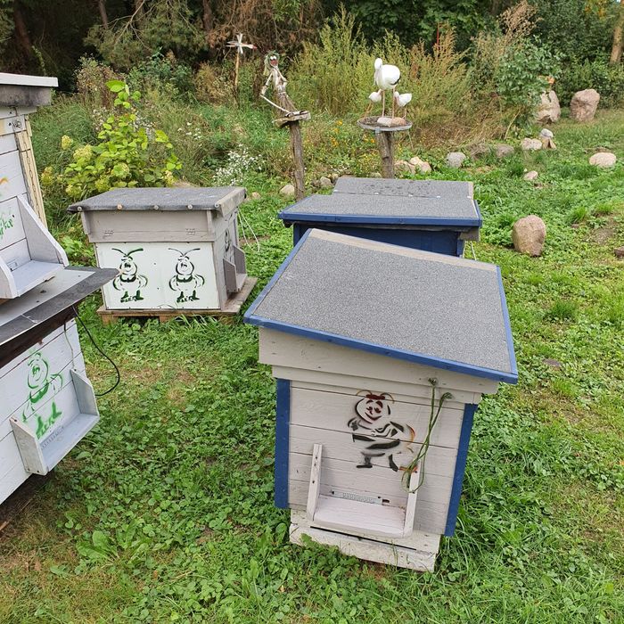 Ule dadnt stan bardzo dobry