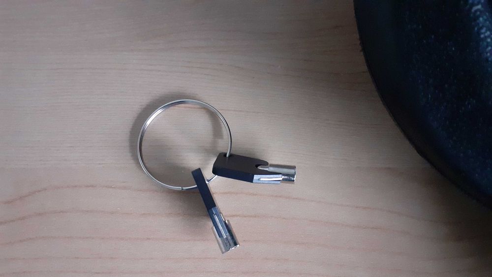 THULE Yepp Mini lekki fotelik rowerowy montowany z przodu i kluczyki