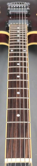 Ibanez AS 73 Trc-12 01 Hollow Body Gitara Elektryczna