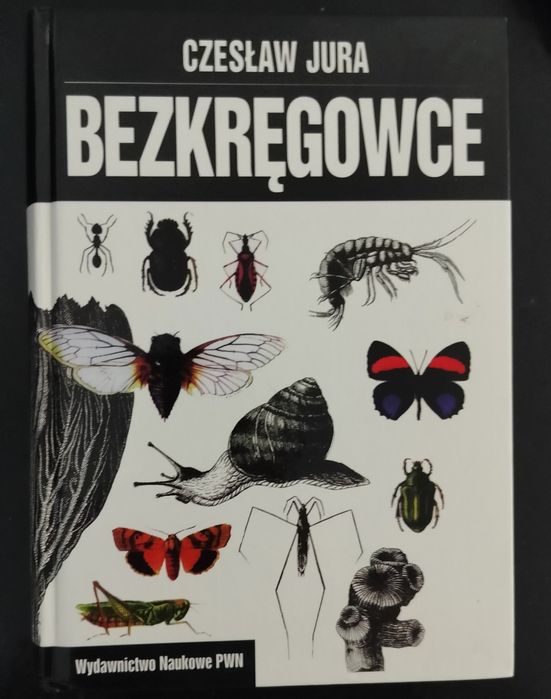 Czesław Jura Bezkręgowce
