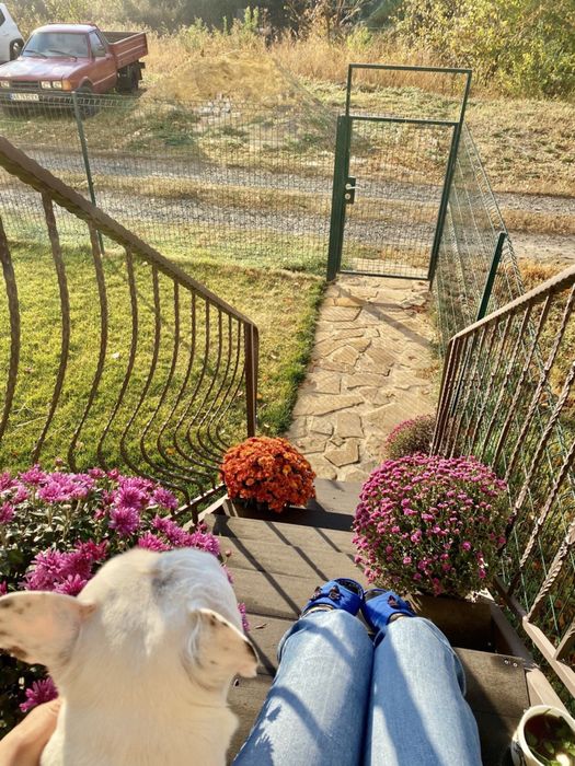 Забор из сварной сетки, секционные ограждения.Прозводитель