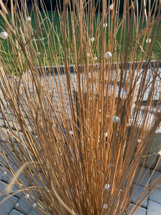 Trawa ozdobna dekoracja