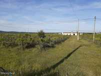 Quinta Vale de Sobrados - Redondo
