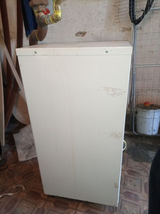 Газовий котел Данко 12 kw