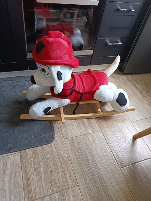 Bujak na biegunach psi patrol