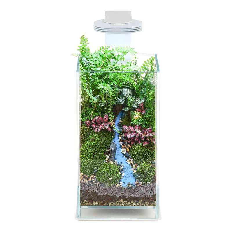 Kit de terrario da Chihiros com luz magnética e base