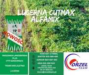 Lucerna, mieszanka lucern Cutmax AlfaMix 20kg 3w1